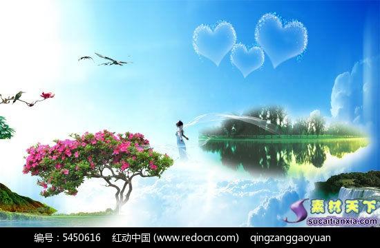 可爱小猫向上跳